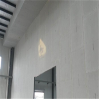 神池宁波ALC板|EPS加气板隔墙与混凝土整浇联接的实验研讨